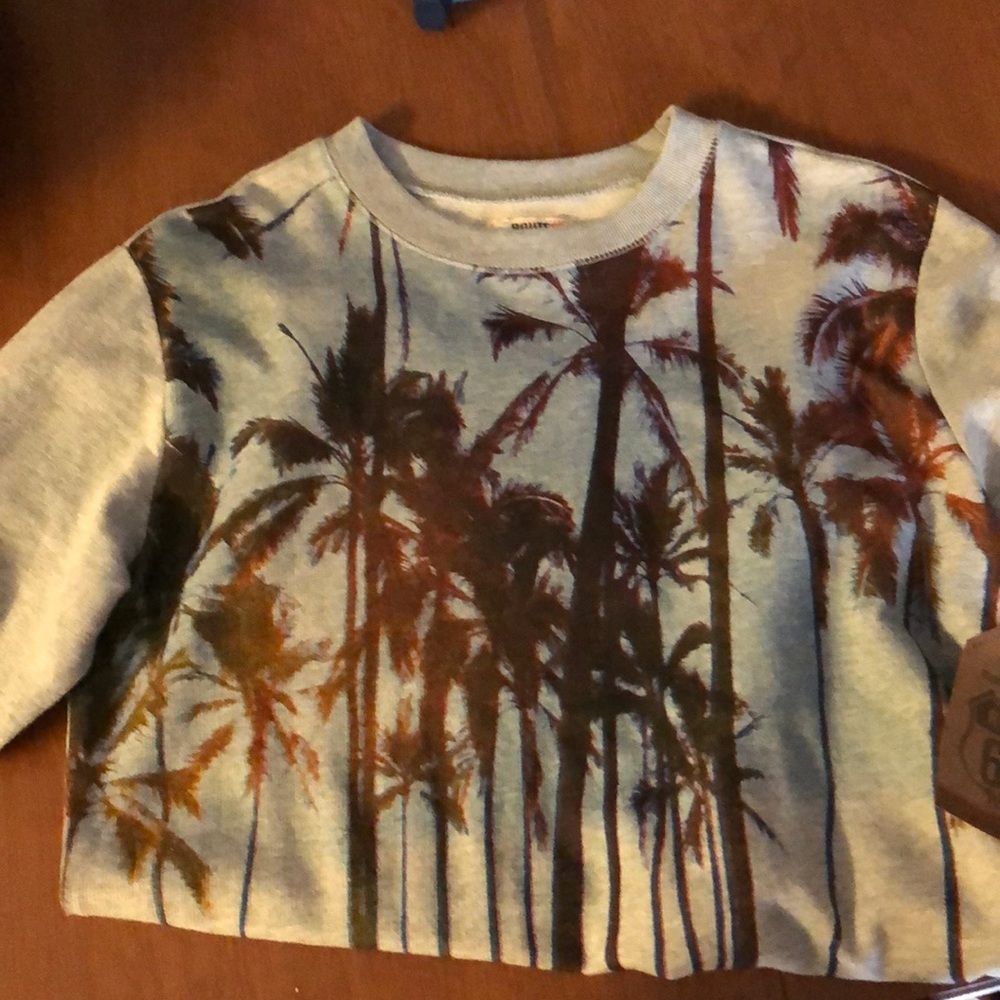NWT gray sweatshirt.